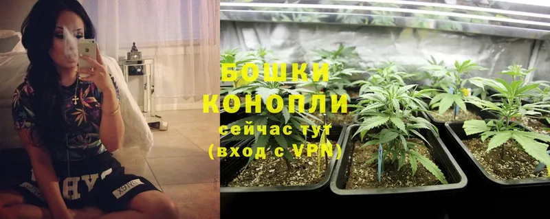 магазин продажи   Кодинск  Канабис THC 21% 